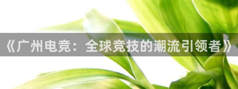 小艾电竞下载官网入口：《广州电竞：全球竞技的潮流引领者》