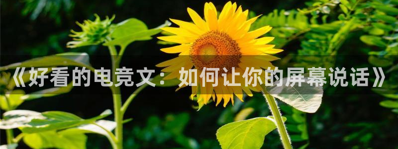 小艾电竞im电竞：《好看的电竞文：如何让你的屏幕说话》