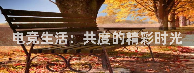 小艾电竞平台：电竞生活：共度的精彩时光