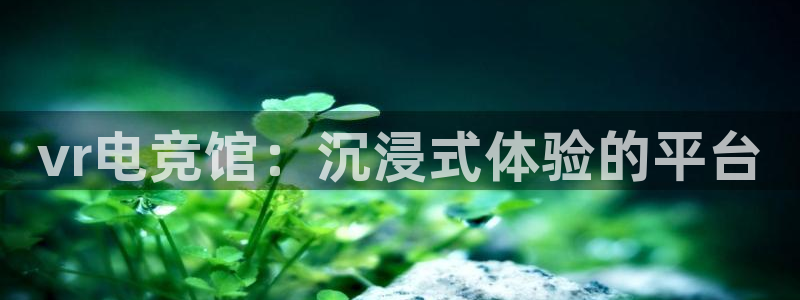 小艾电竞平台官网入口：vr电竞馆：沉浸式体验的平台