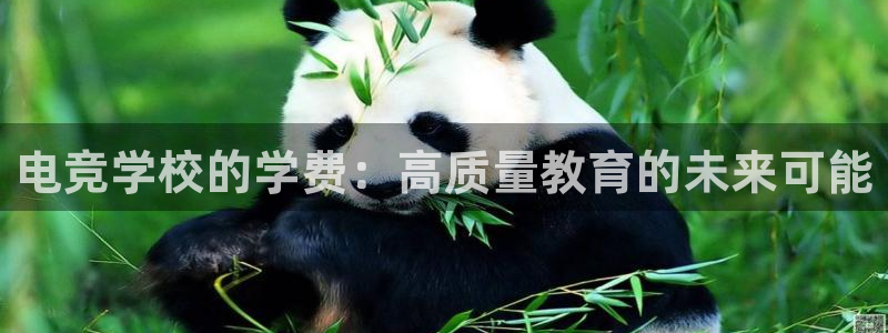 小艾电竞官方网站：电竞学校的学费：高质量教育的未来可能