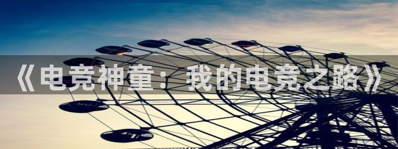 小艾电竞登陆：《电竞神童：我的电竞之路》