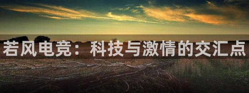 小艾电竞平台：若风电竞：科技与激情的交汇点