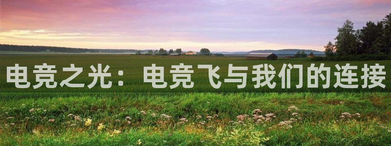 小艾电竞官网：电竞之光：电竞飞与我们的连接