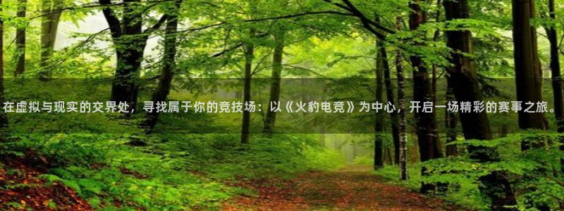 小艾电竞官网网址：在虚拟与现实的交界处，寻找属于你的竞技场：以《火豹电竞》为中心，开启一场精彩的赛事之旅。