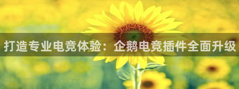 小艾电竞app：打造专业电竞体验：企鹅电竞插件全面升级