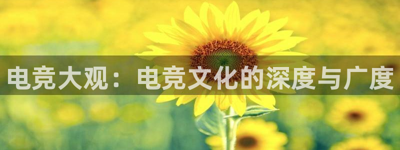 小艾电竞亚洲官网：电竞大观：电竞文化的深度与广度