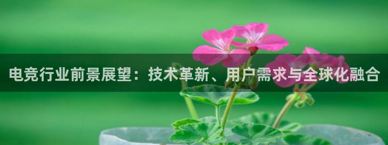 小艾电竞下载官网入口：电竞行业前景展望：技术革新、用户需求与全球化融合