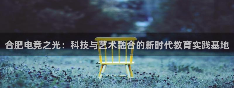 小艾电竞在线：合肥电竞之光：科技与艺术融合的新时代教育实践基地